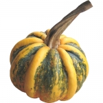 Kamo Kamo von Cora F. (Dienstag, 09. Oktober 2012